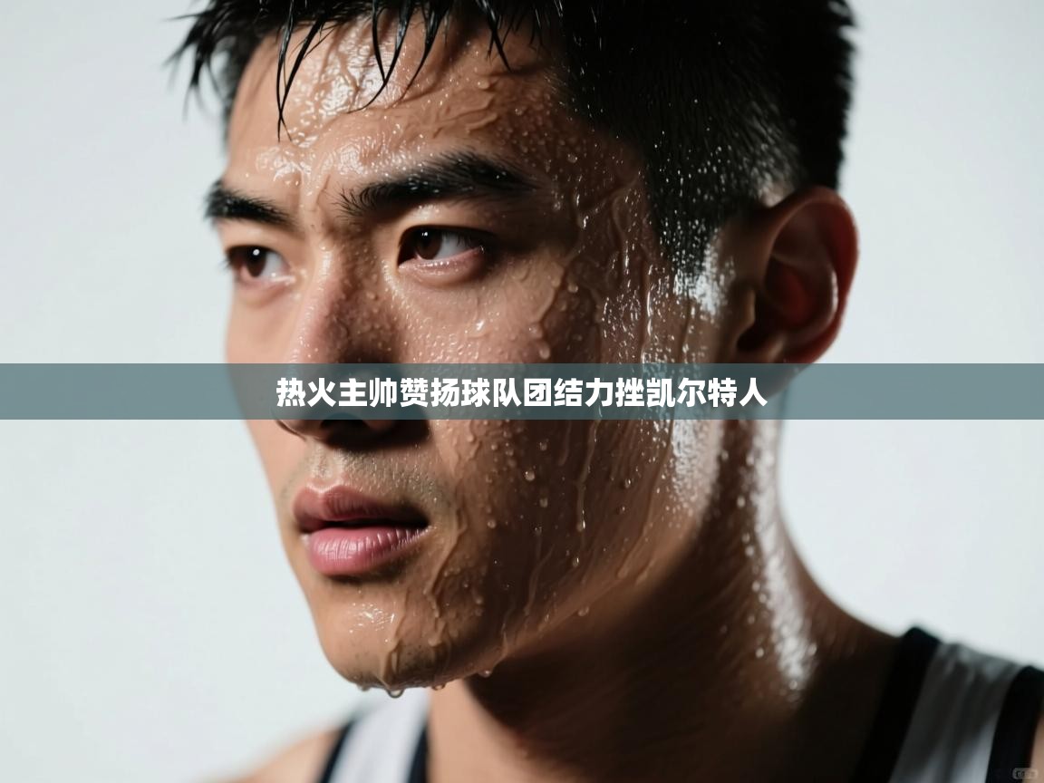 热火主帅赞扬球队团结力挫凯尔特人  第1张