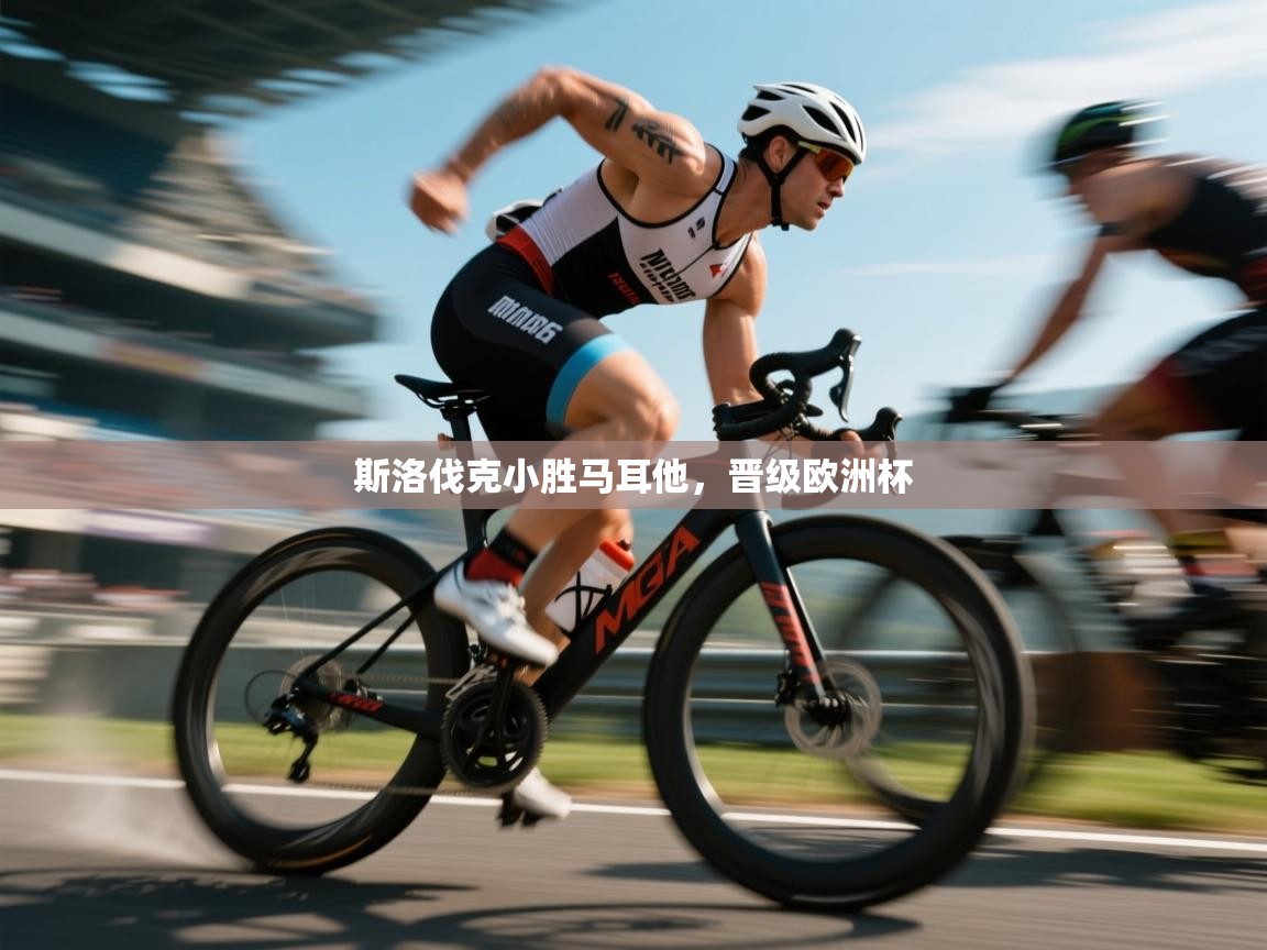 斯洛伐克小胜马耳他,晋级欧洲杯 第1张