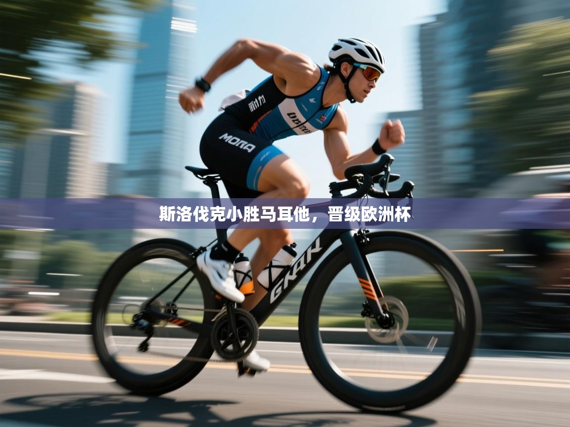 斯洛伐克小胜马耳他,晋级欧洲杯 第2张